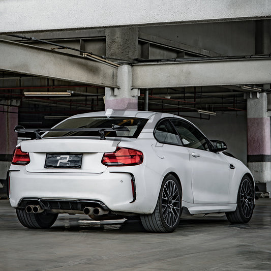 SQ Style Carbon Fiber Rear Vent Trim - BMW M2 F87